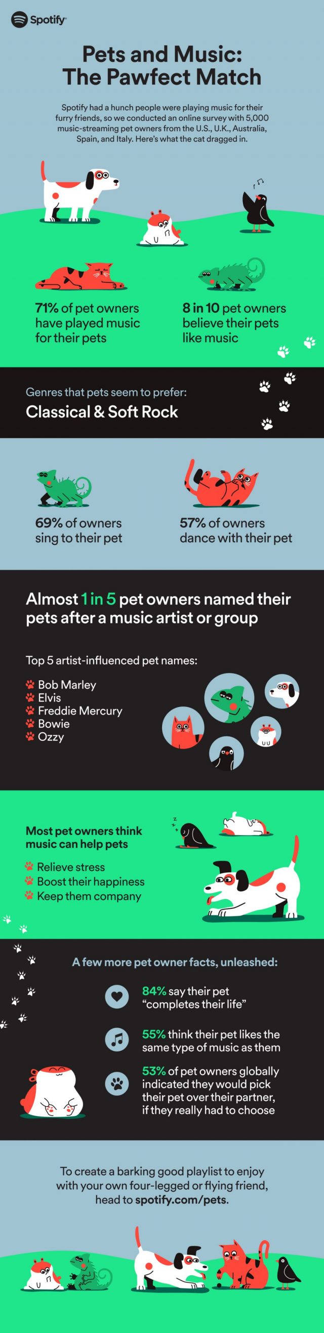 Here's how to generate a playlist for your pet on Spotify